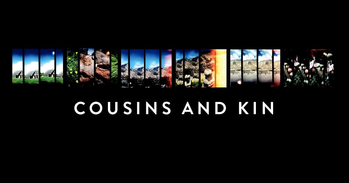 Cousins and Kin