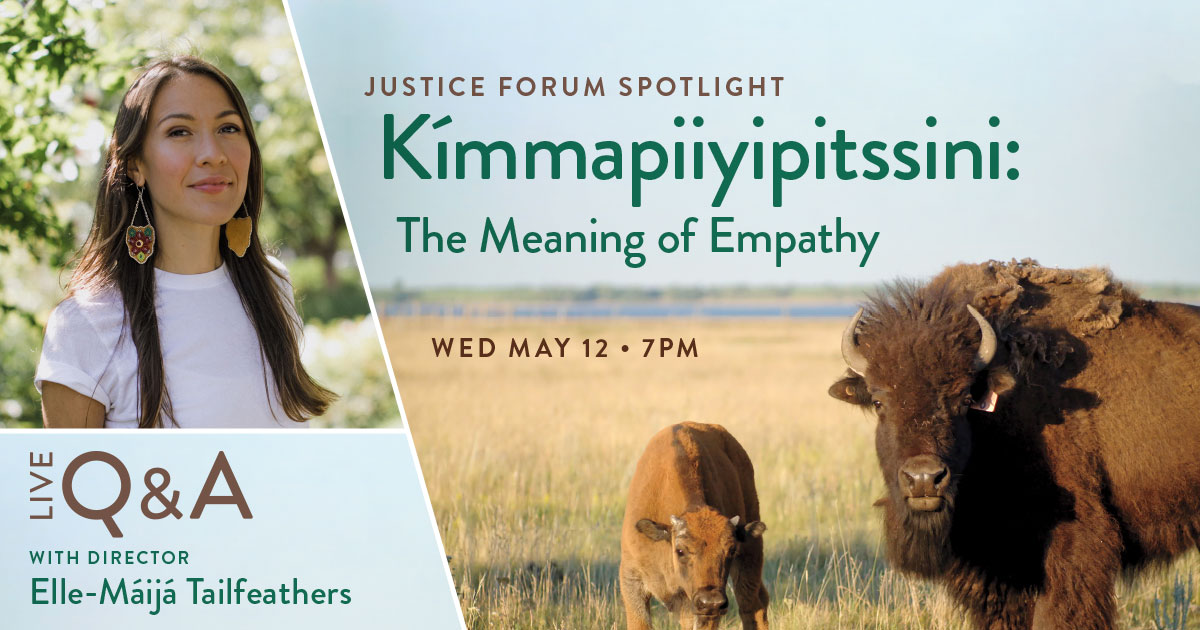 Live Q&A: Kímmapiiyipitssini: The Meaning of Empathy