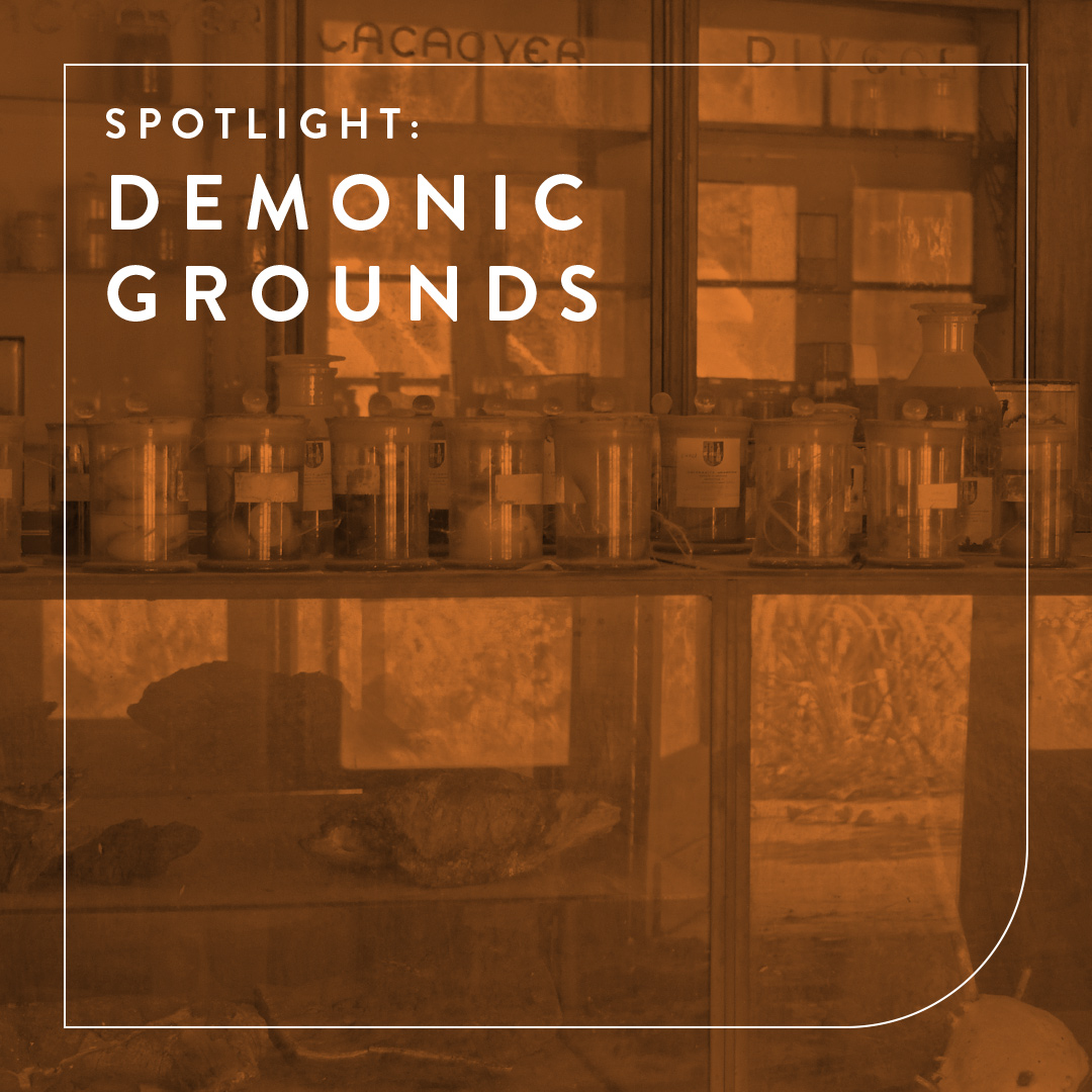 Demonic Grounds