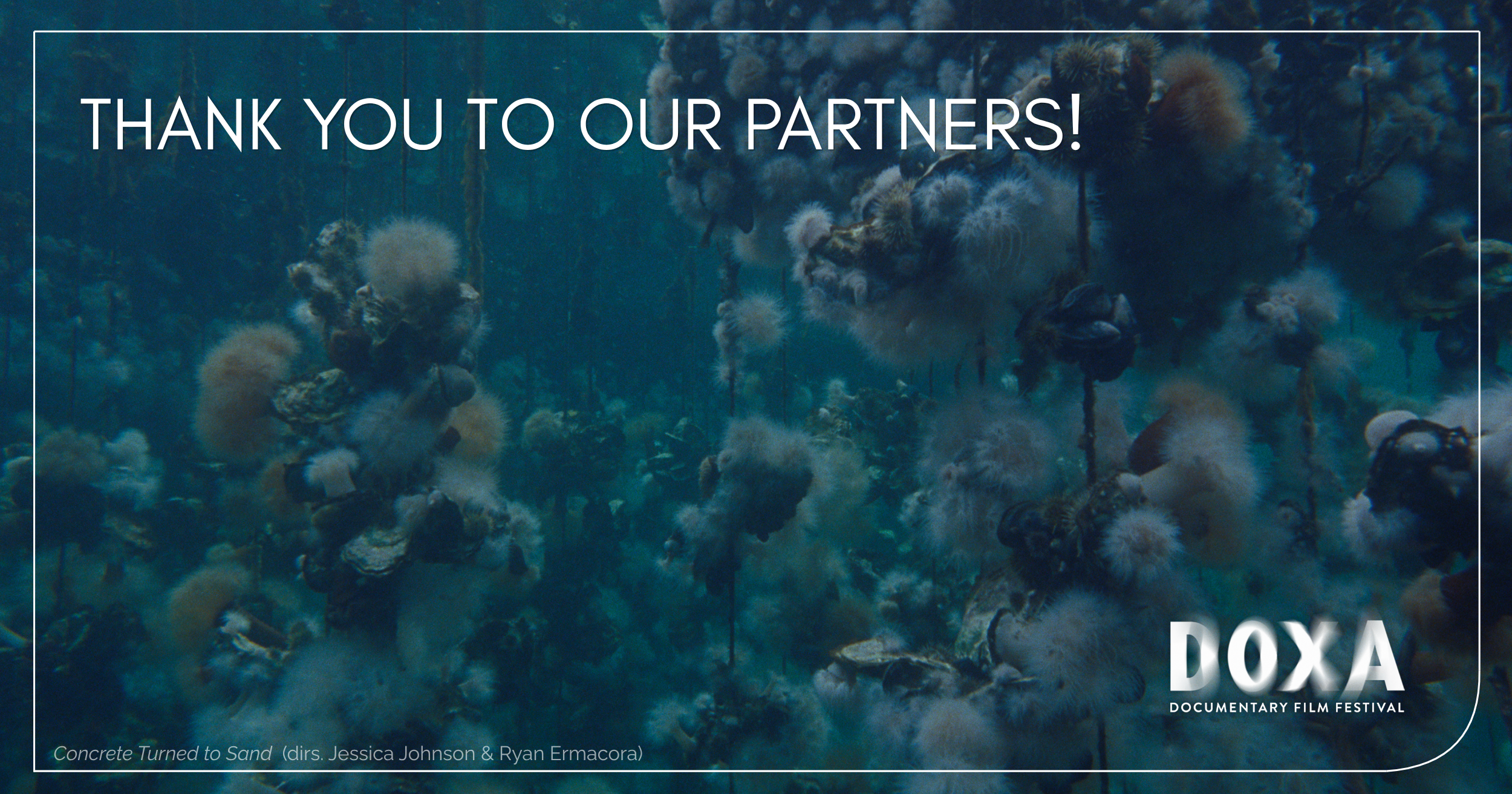 Thank you to our partners!